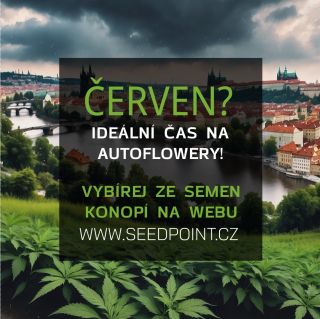 Červen. Nejlepší čas na samonakvétací genetiky. Spolehlivé, nenáročné a ověřené tisíci zákazníků – ať začínáš, nebo už máš...