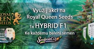 Ke každému balení semen od RQS dostaneš 1x F1 Hybrid zdarma.