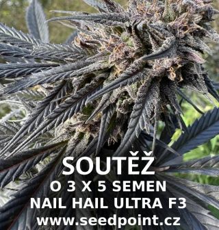 K příležitosti legalizace pěstování konopí jsme pro vás připravili speciální soutěž. Soutěžíme o 3× balení po 5 semenech...